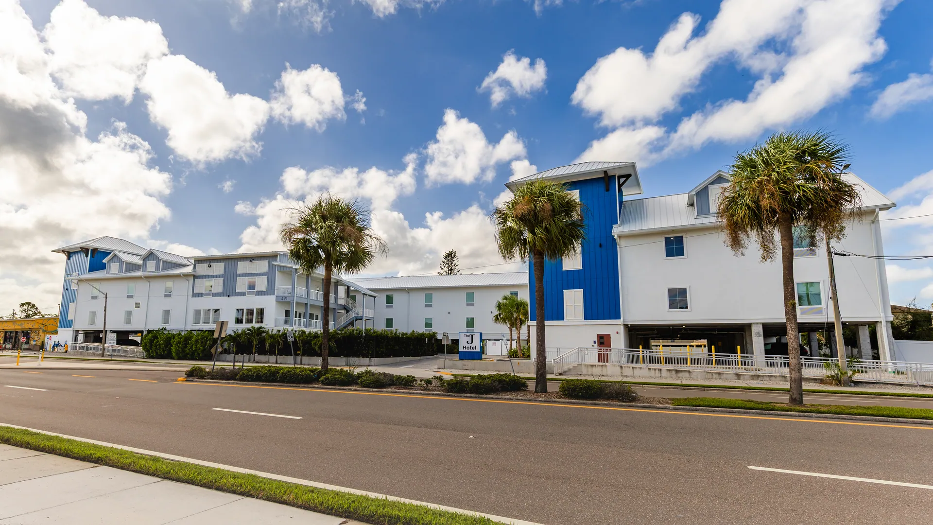 Palms along Causeway Boulevard